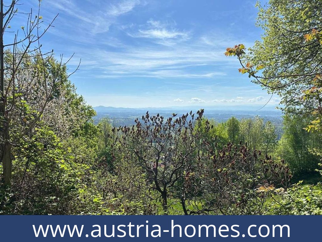 austria-homes-bad gams-8524-20251010221925-0032401009.jpg austria-homes-bad gams-8524-20251010221925-0032401009.jpg